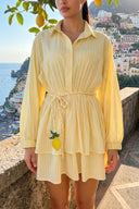 Limone Shirt Dress