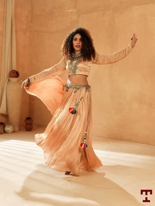 Twirling Tales (Lehenga)